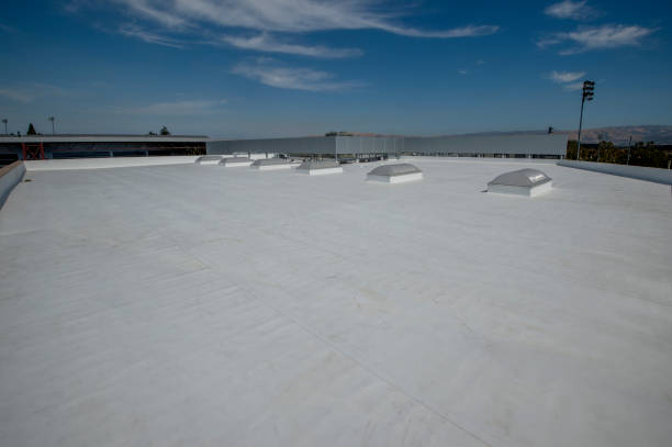 Best Rubber Roofing (EPDM, TPO)  in Niagara Falls, NY