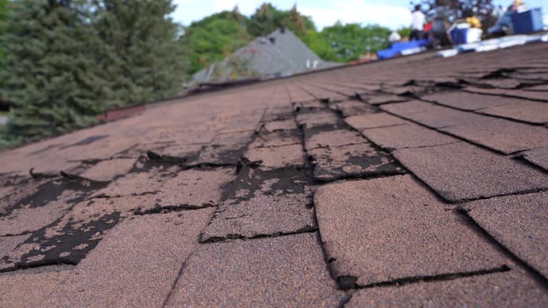 Best Roof Insulation Installation  in Niagara Falls, NY