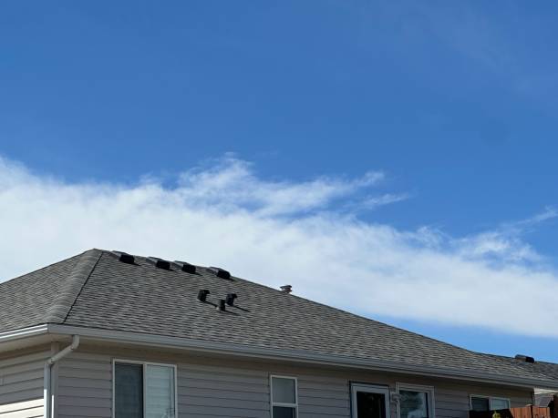 Best Skylight Installation and Repair  in Niagara Falls, NY