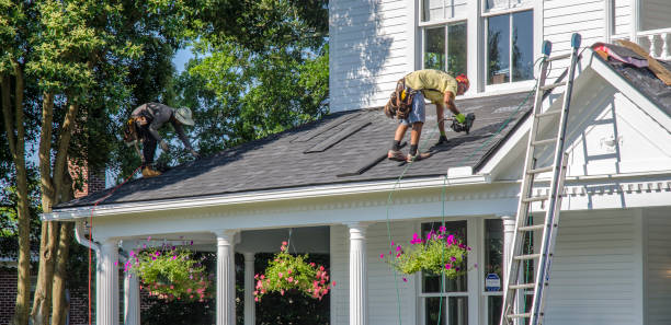 Best Roof Moss and Algae Removal  in Niagara Falls, NY